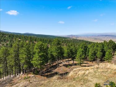 - Image# 11