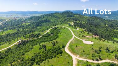  - Image# 11